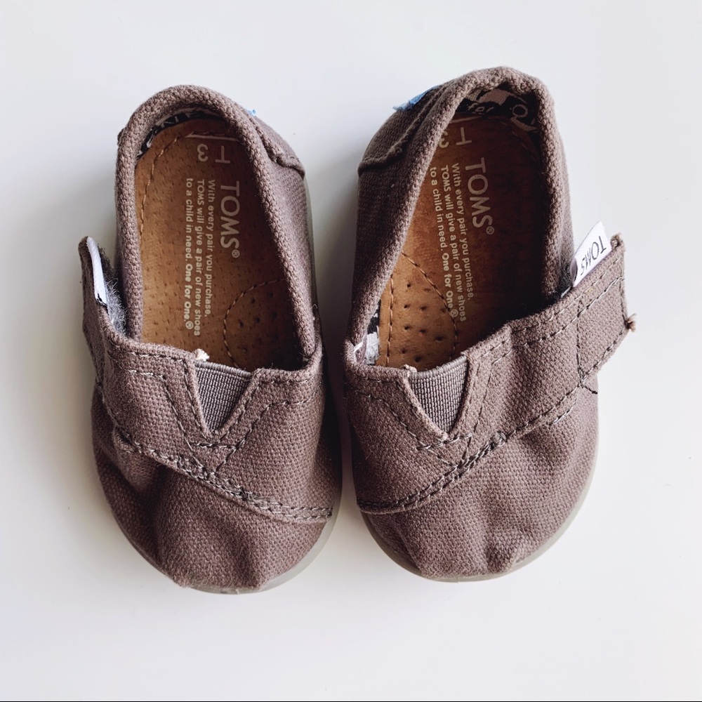 Grey Toms baby shoes Velcro strap size t3